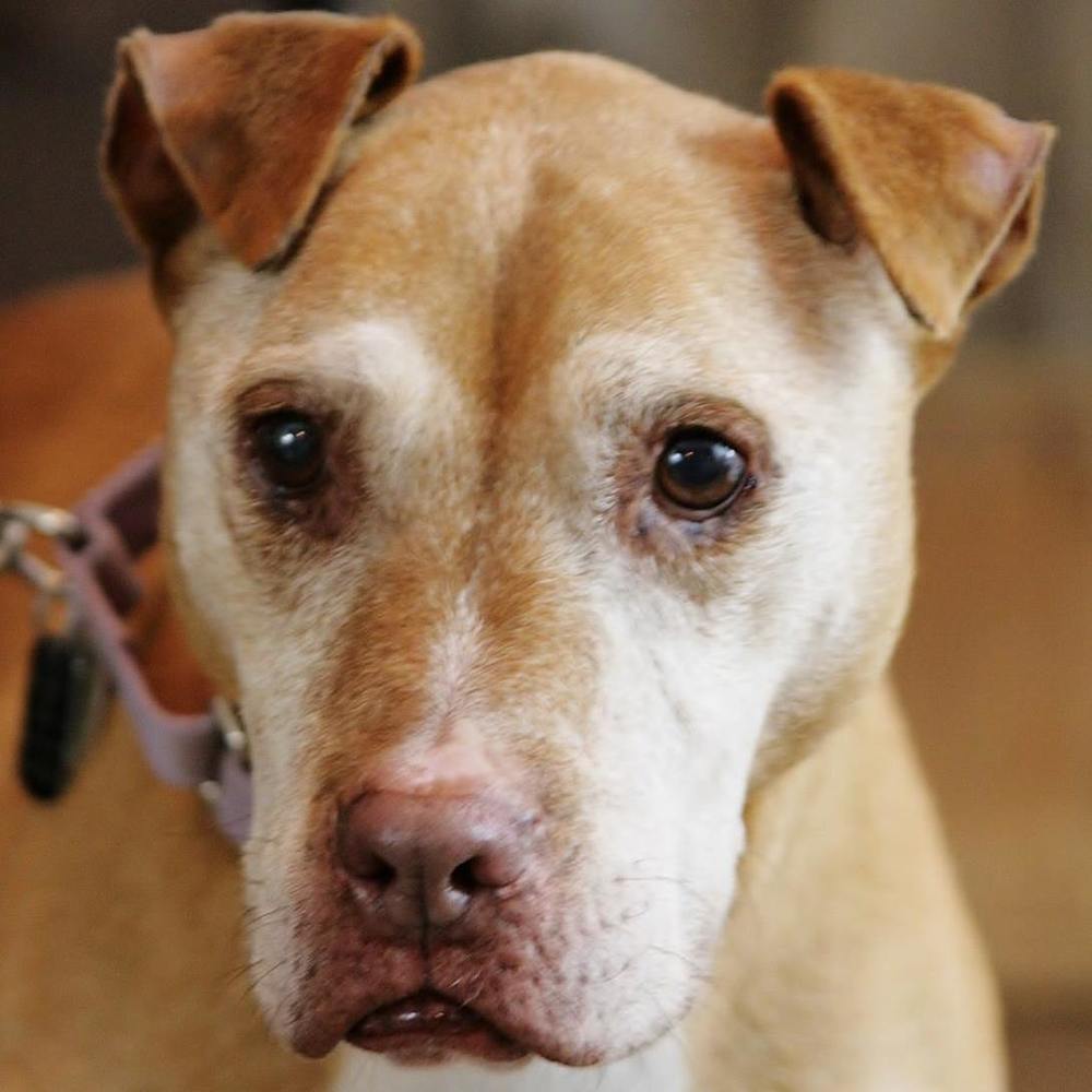 Meet your Posher, Eileen